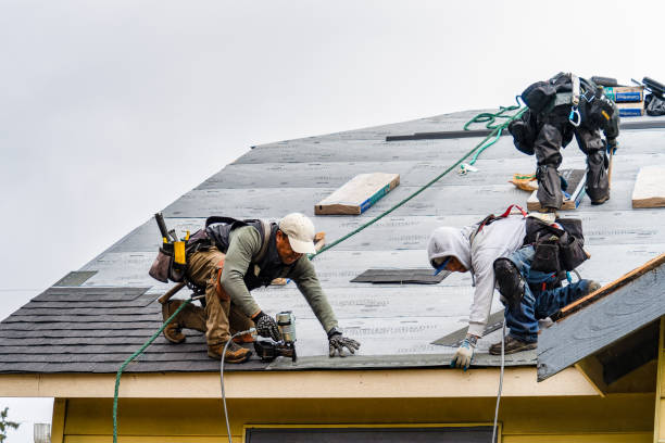 Professional Roofing technician working in Martinsville, IL